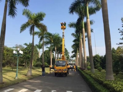珠海香洲高空车、路灯车与升降车出租服务详解